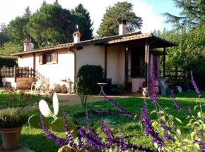 Hotels in Zagarolo